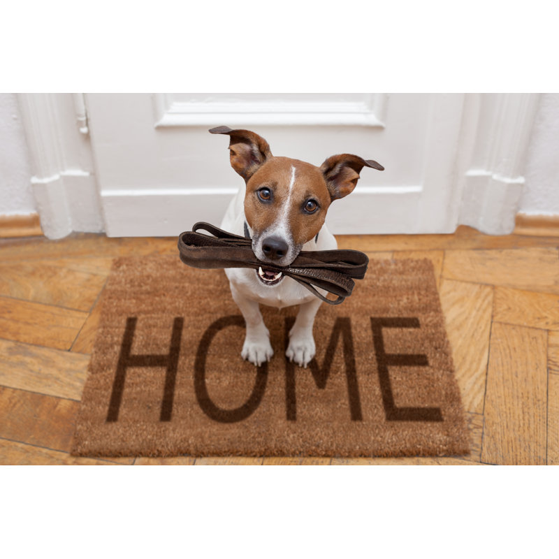 Dog by Damedeeso - Wrapped Canvas Print, 30cm H x 46cm W x 3.8cm D