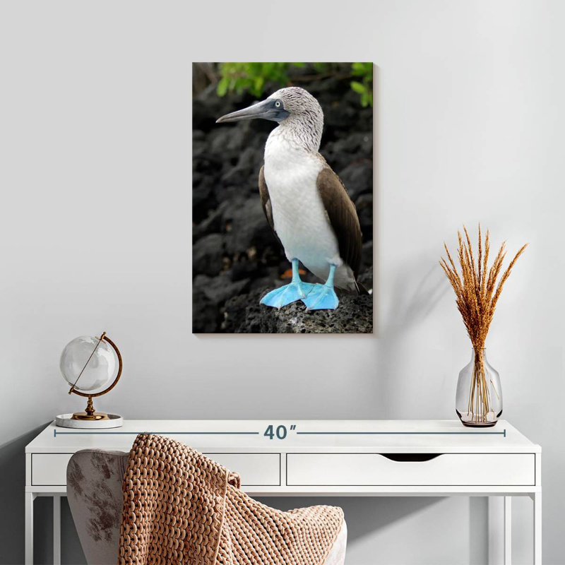 Brampt Blue-Footed Booby Birds, 24" H x 16" W
