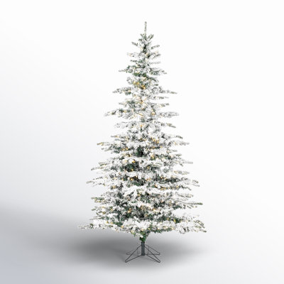 Hendricks Lighted Artificial Fir Christmas Tree