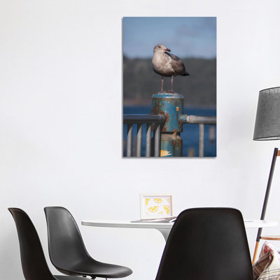 Seagull Portrait by Louis Ruth - Wrapped Canvas Print