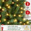 Arbre de Noël à charnière épinette avec support pliable Nyle-1692793422-1629222684
