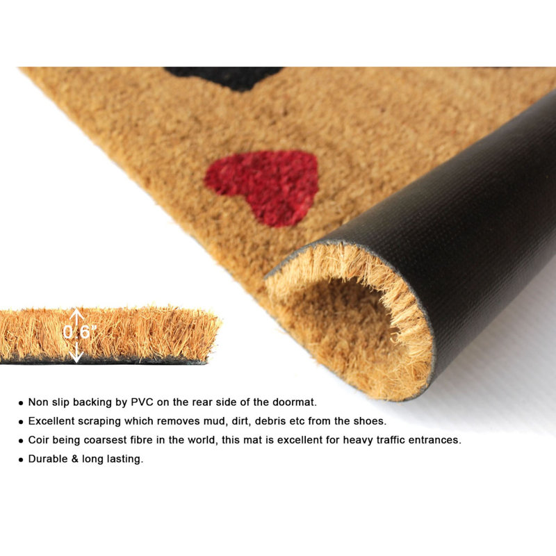 Tapis antidérapant 30 po x 18 po pour l'intérieur et l'extérieur