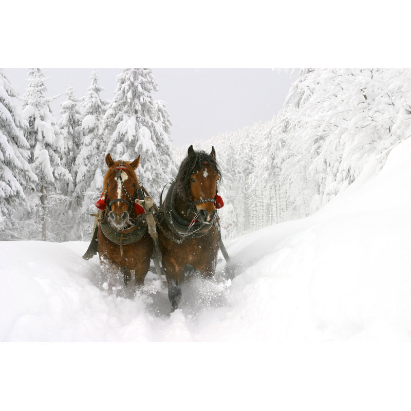 Sleigh Ride - Wrapped Canvas Print, 30cm H x 46cm W