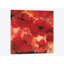 « abstract florals i », impression sur toile-29090293-72778914-72778909