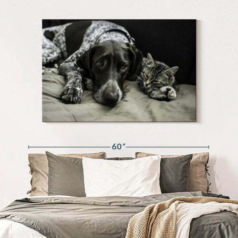 Dog And Cat Friends, 34" H x 51" W