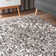 Okolona Oriental Indoor Rug