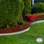 Bordure de jardin-84751533-84751532