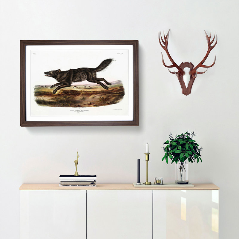Black American Wolf by J.W. Audubon - Picture Frame Painting Print, Walnut Framed, 48cm H x 65cm W x 2cm D