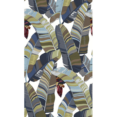 Banana Palm Dream