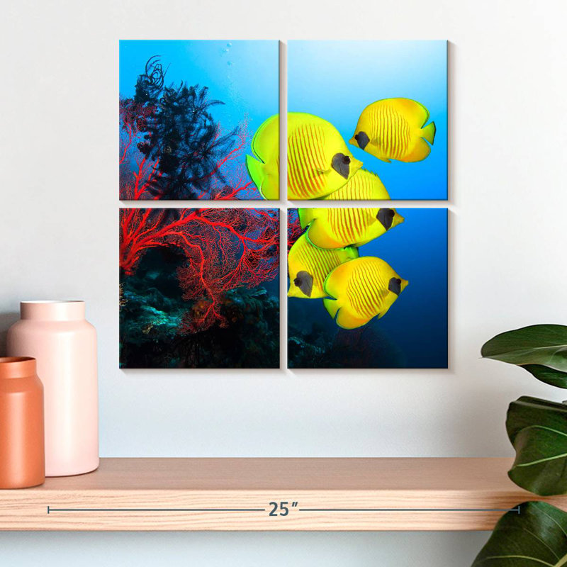 Coral Reef Fish