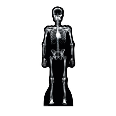 Halloween 69'' Cardboard Standup