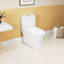 Toilette allongée une pièce à hauteur confort 1,1 / 1,6 GPF