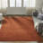 Schwenzer Sunset Ember Hand-Knotted Wool Area Rug-1889920797