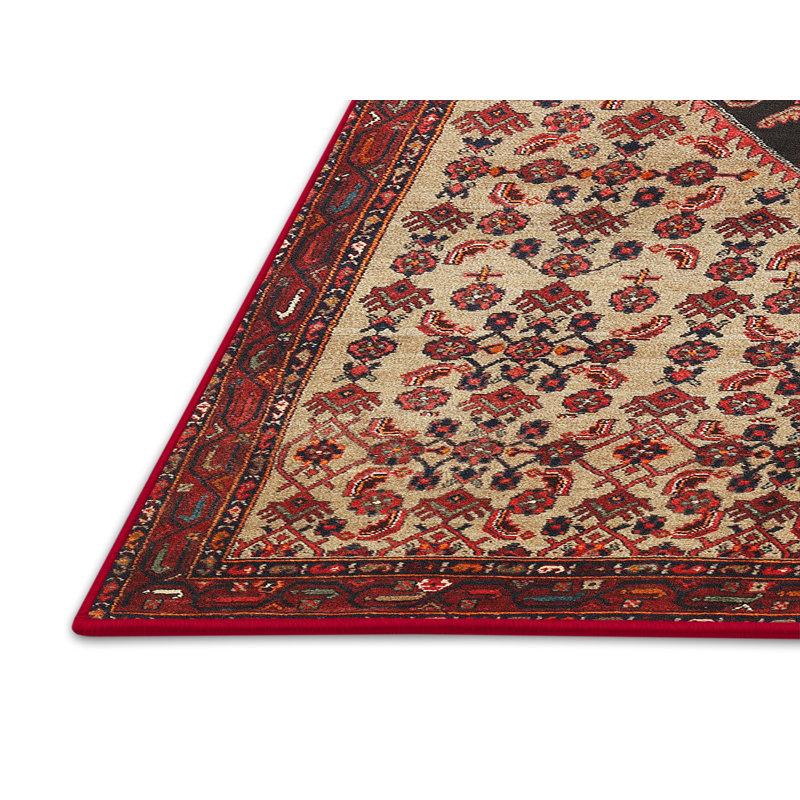 Tapis traditionnel rouge / brun / noir, Rectangle 4 pi x 6 pi