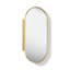 Verdera Capsule Framed Medicine Cabinet-18720210-27470767