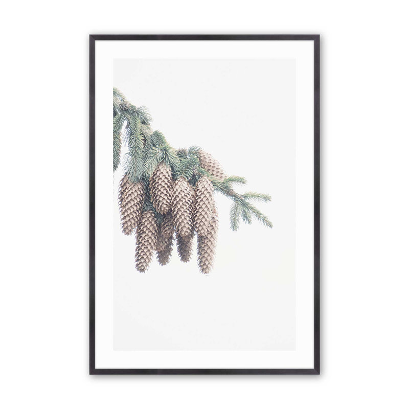 Forest Treasures Print, Weathered Zinc Framed, 21.25" H x 17.25" W x 1.25" D