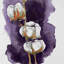 Aquarelle sur toile de fleurs de coton mauve | Cadre blanc