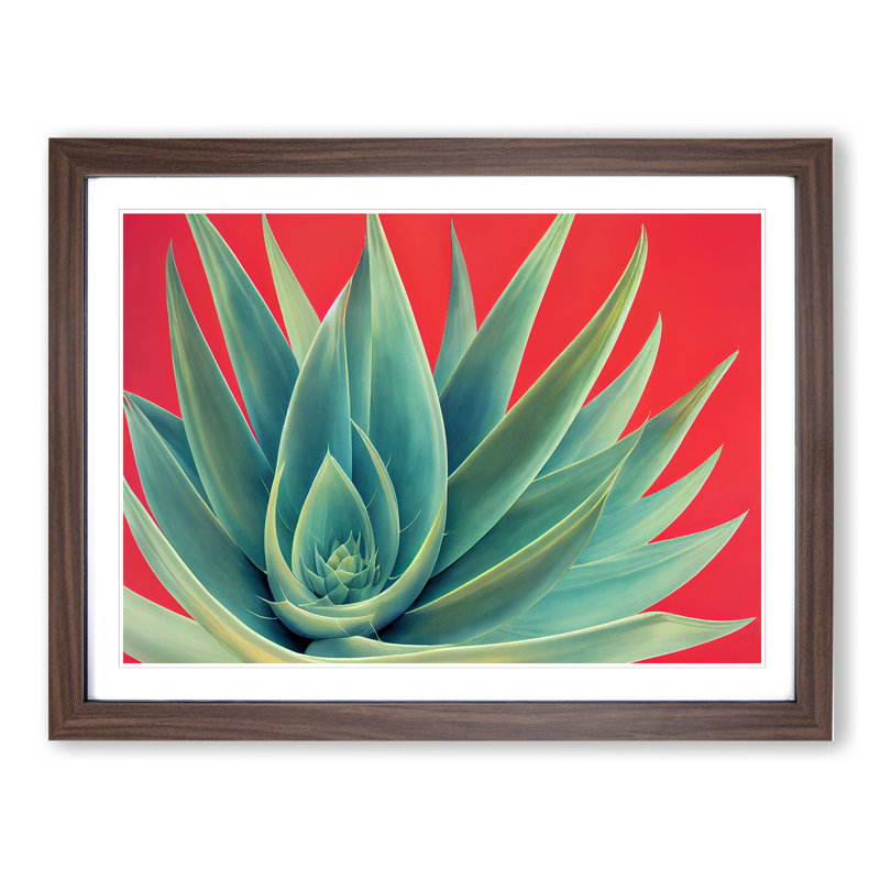 Spellbinding Aloe Vera Plant - Framed Print, 25cm H x 34cm W, Walnut Frame