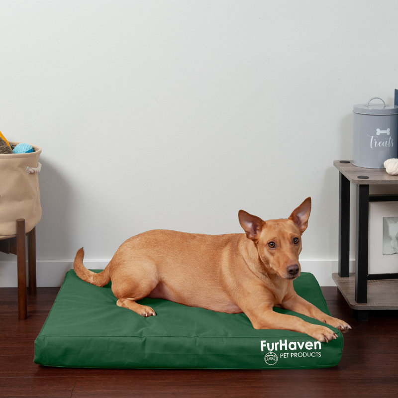 Forest Green Medium Orthopedic Waterproof Outdoor Pet Bed