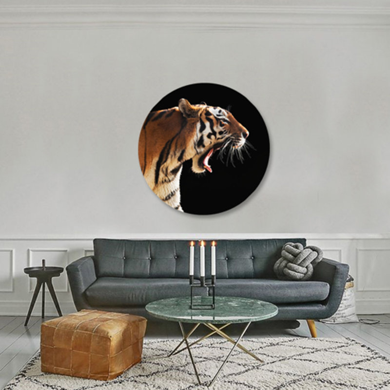 Tiger's Roar - photographie, H 24 po x l 24 po