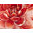 Red Chrysanthemum Floral Braided Polyester Placemat - Home Decor