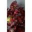 Artificial Antler Leaves 33"