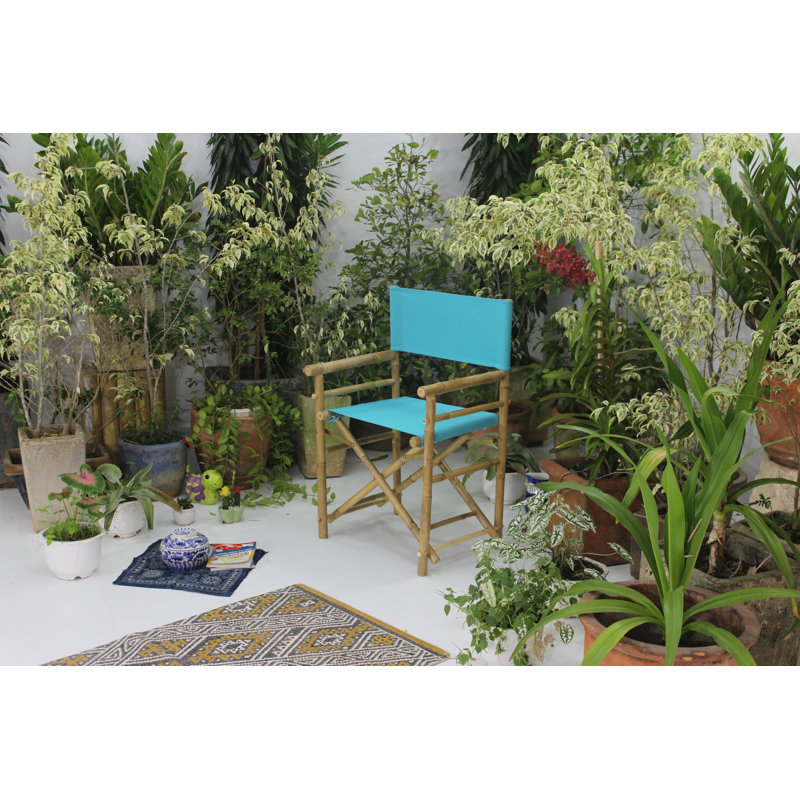 Laseter Folding Director Chair, Aqua