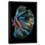 The Betta Fish by Andi Halil - Print on Canvas-1257038030-1297969562