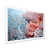 White Single Picture Framed