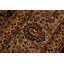 Tapis oriental noir / beige / brun en laine noué à la main 8 pi 1 po x 10 pi Abagail