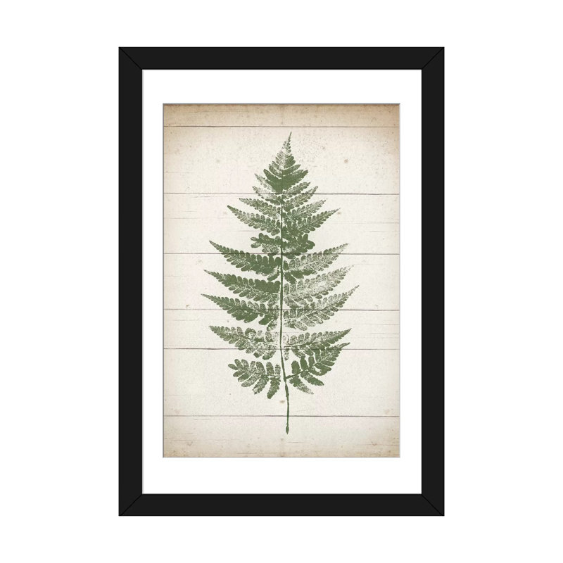 «Fern Print I» par Moira Hershey, impression sur toile tendue, H 32 po x l 24 po x P 1 po, Papier d'art encadré noir, Blanc