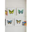 Butterfly Study 1' Framed Graphic Art Print on Glass