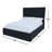 Upholstered Bed-990652305-990652313
