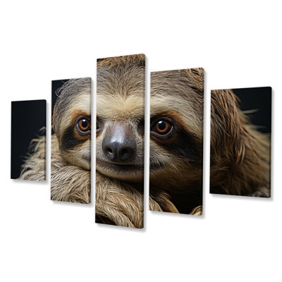 Joli portrait paresseux - animaux, art mural sur toile - 5 panneaux