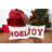 Noel Christmas Throw Pillow with Insert