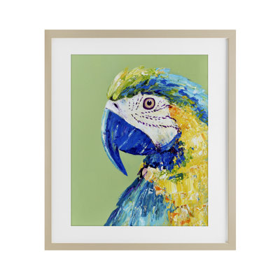 Ara perroquet sur vert, reproduction encadrée sous verre, design par Jennifer Seeley