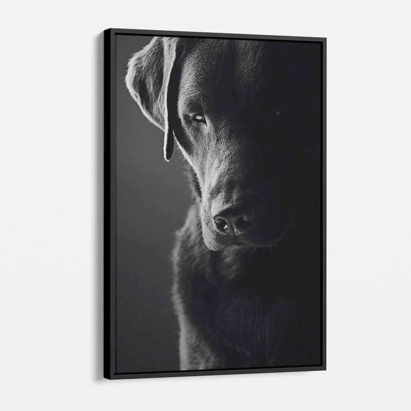 «Black Dog», art mural sur toile 2995, H 16 po x l 12 po, Toile encadrée noire