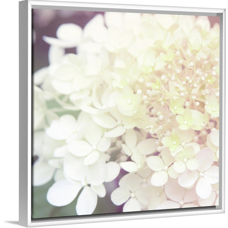 Hydrangea Dream II, art mural sur toile, H 36 po x l 36 po x P 1,75 po, Toile avec cadre blanc