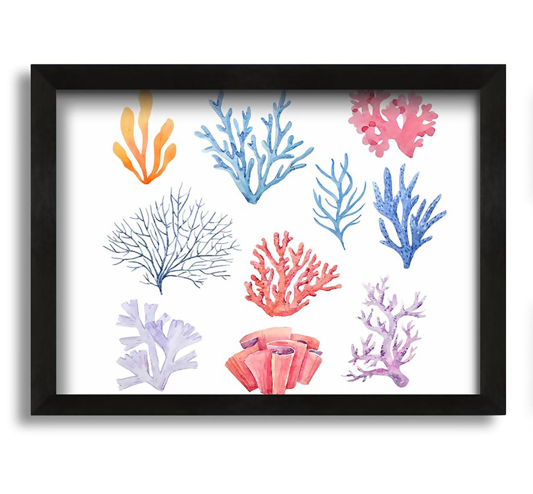 Gerahmtes Leinwandbild Sea Life Coral