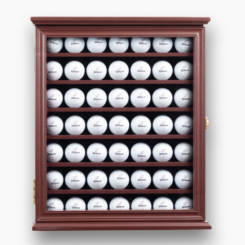 DECOMIL Decomil 17'' W 5'' D Golf Ball / Puck Case