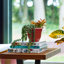 Ensemble de pots de fleurs d'intérieur / extérieur à arrosage automatique 6 po Ariana-91832511-88036106-92162957