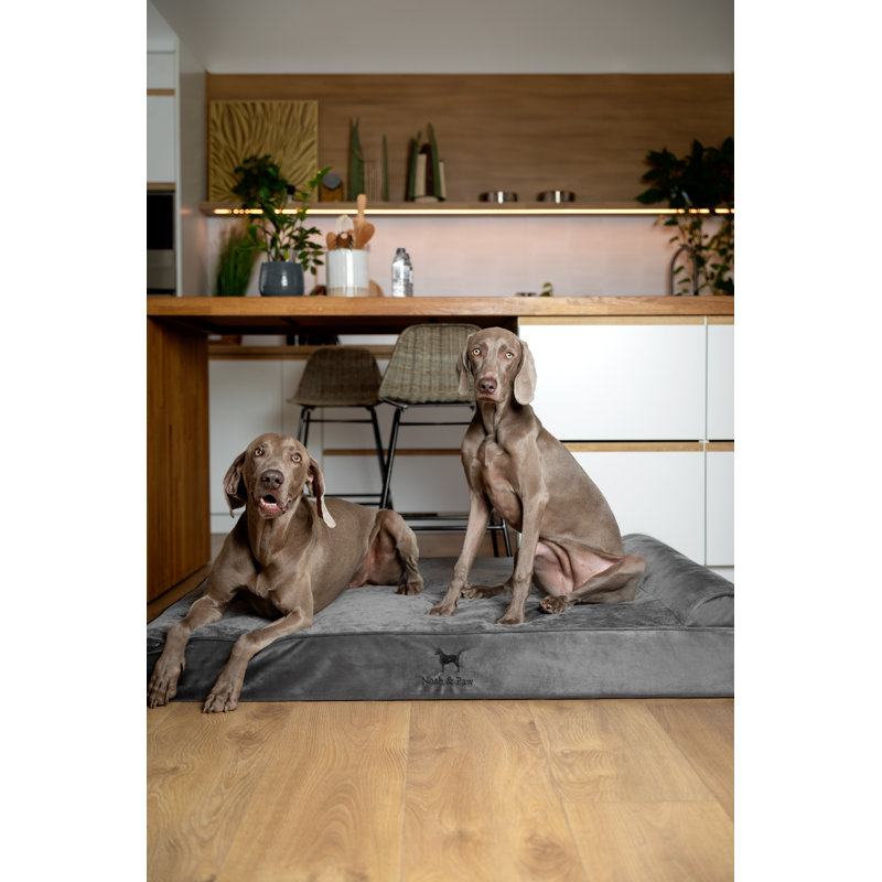 Lit pour chien Noah & Paw XL, grands lits orthopédiques pour chien, mousse à mémoire de forme coquille d'œuf imprégnée de gel rafraîchissant, imperméable, lavable à la machine, avec housse intérieure (collection Velvet)