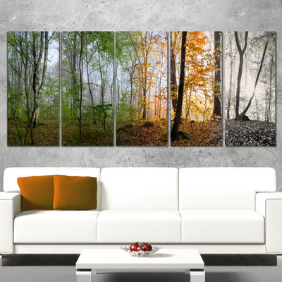 " Morning Forest Panorama " 5 Piece Art Color Photography Print