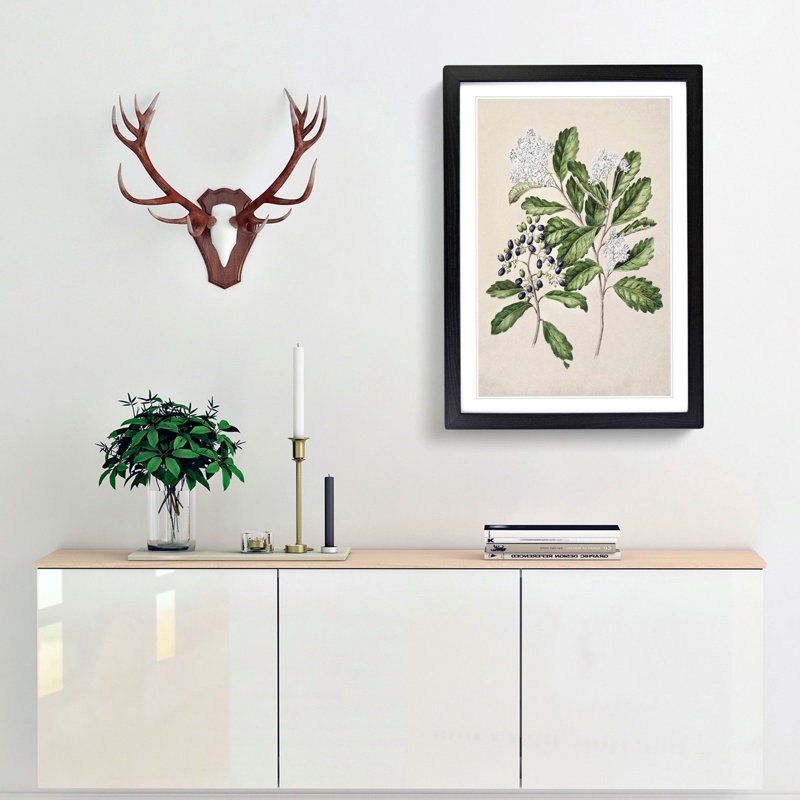 Kaikomako Flowers by Sarah Featon - Framed Print, Black Framed, 36cm H x 27cm W x 2cm D