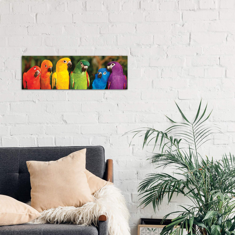 Rainbow Parrots by Mike Jones - Wrapped Canvas Panoramic Print, 30.48 cm H x 91.44 cm W x 1.91 cm D