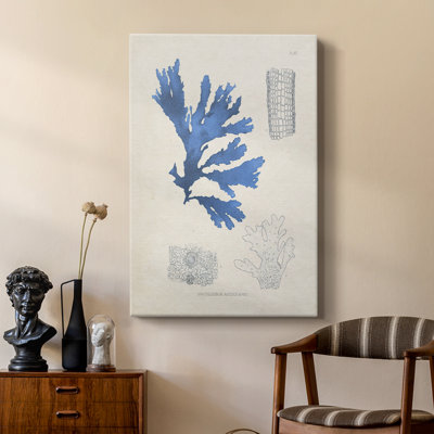 Algues bleues bleues - galerie Cavas sur mesure