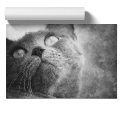 British Shorthair Cat Vol.3 - No Frame Print