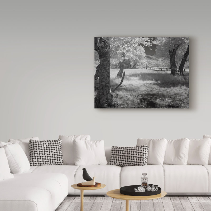 Garv «Smokies Ir 1», reproduction de photo sur toile tendue, H 18 po x l 24 po x P 2 po