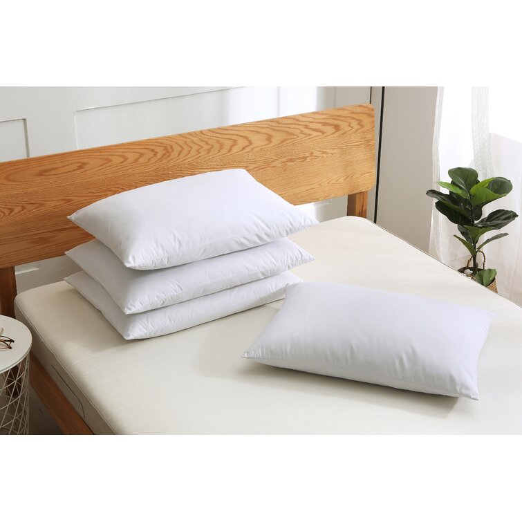 Alwyn Home Glenburn Pillow Insert & Reviews
