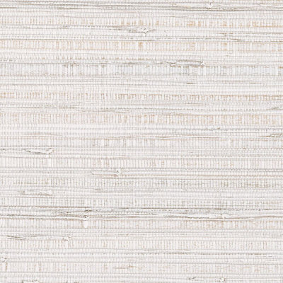 Kravet Design - W3972-1
